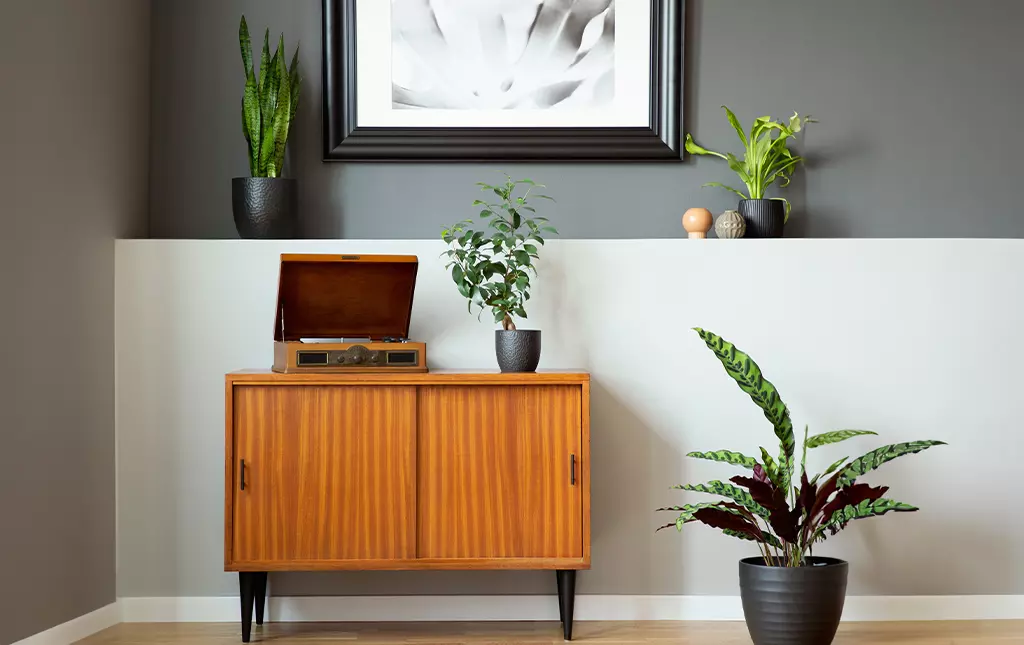 Tinte wood stain for home