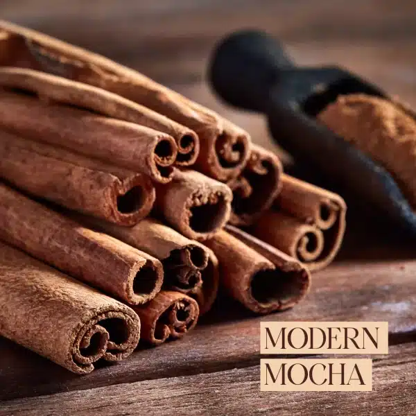 MODERN MOCHA