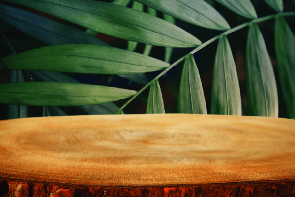 Natural Decor sample image 2