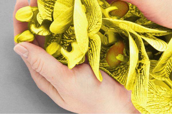 PANTONE YELLOW AND GREY SAMPLE IMAGE 4